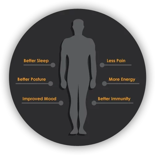 Chiropractic Lombard IL Sciatica care graphic Chiropractic Lombard IL Sciatica care graphic